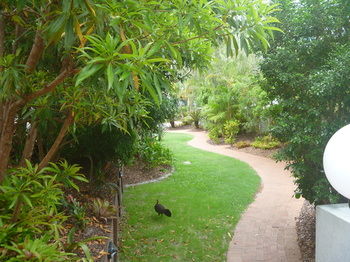 Chez Noosa Resort Motel - South Australia Travel 21