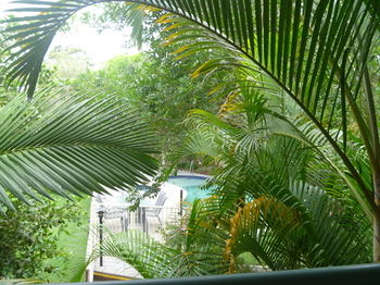 Chez Noosa Resort Motel - South Australia Travel 29