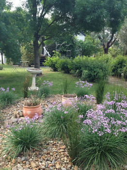 Yarraglen BnB - South Australia Travel 19