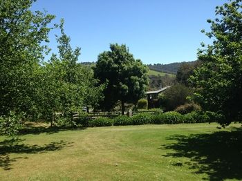 Yarraglen BnB - South Australia Travel 27