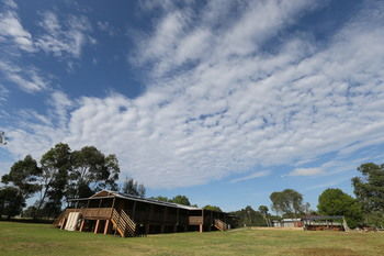 Hunter Valley YHA - Hostel - South Australia Travel 20