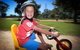 Big4 Swan Hill - Caravan Park - thumb 14