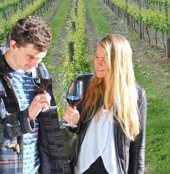 Valley Farm Vineyard Cottages - South Australia Travel 0