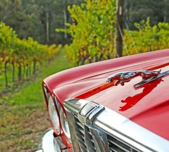 Valley Farm Vineyard Cottages - South Australia Travel 1
