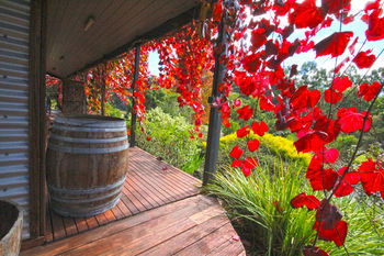 Valley Farm Vineyard Cottages - South Australia Travel 5