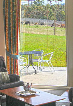 Valley Farm Vineyard Cottages - South Australia Travel 9