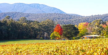 Valley Farm Vineyard Cottages - South Australia Travel 11