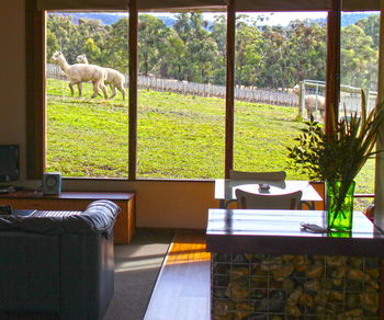 Valley Farm Vineyard Cottages - South Australia Travel 17