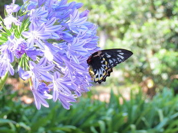 Amytis Gardens Retreat Spa And Cooking School - South Australia Travel 4