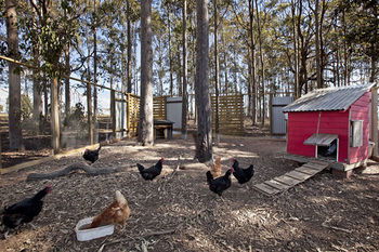 Block Eight - South Australia Travel 10