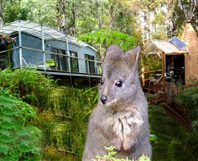 Huon Bush Retreats - South Australia Travel 0