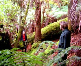 Huon Bush Retreats - South Australia Travel 3