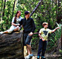 Tahune Airwalk Lodge - South Australia Travel