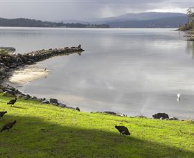 Huon Charm Waterfront Cottage - South Australia Travel 3