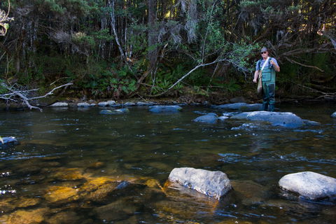 Tyenna River Cottage - South Australia Travel 1