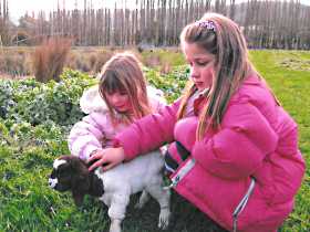 Huon Valley Caravan Park - South Australia Travel 0