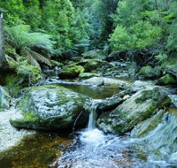 Tarkine Wilderness Experience at Corinna - South Australia Travel