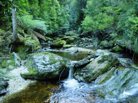 Tarkine Wilderness Experience At Corinna - South Australia Travel 0