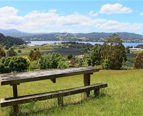 Camellia Cottage On Maple Hill - South Australia Travel 3