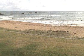 Penguin Caravan Park - South Australia Travel 0
