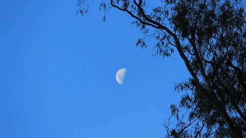 Gentle Annie Caravan And Camping Reserve - South Australia Travel 4