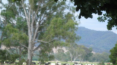 Gentle Annie Caravan And Camping Reserve - South Australia Travel 3