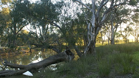 Numurkah Caravan Park - South Australia Travel 5