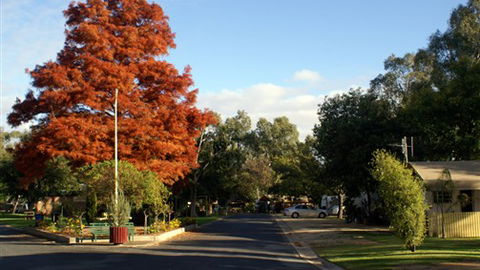 Numurkah Caravan Park - South Australia Travel 6