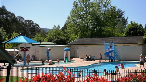 Porepunkah Pines Holiday Park - South Australia Travel 0