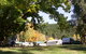 Porepunkah Pines Holiday Park - thumb 5