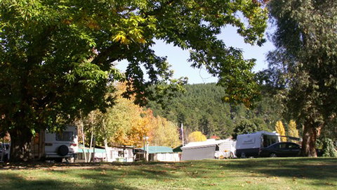 Porepunkah Pines Holiday Park - South Australia Travel 5