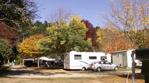 Porepunkah Pines Holiday Park - South Australia Travel 6
