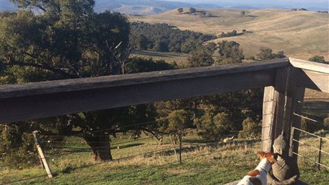 Merrindie - South Australia Travel 5