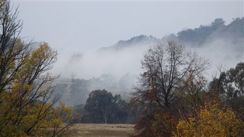 Black Horse Park - South Australia Travel 3