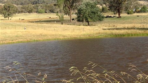 Black Horse Park - South Australia Travel 4