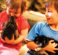 Macka's Farm - South Australia Travel