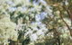 The Cottage At Bolobek - thumb 5