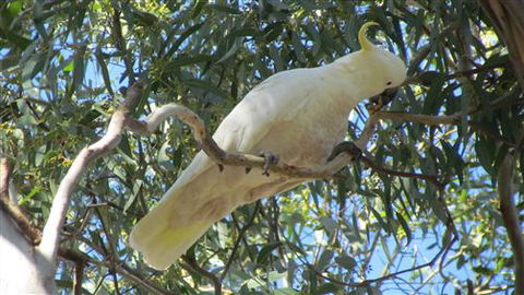 River Gardens Bed And Breakfast Farmstay - South Australia Travel 1