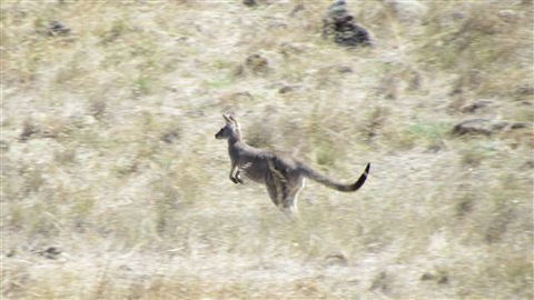 River Gardens Bed And Breakfast Farmstay - South Australia Travel 7