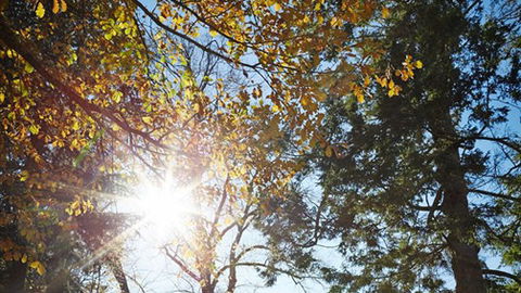 Typo Station - South Australia Travel 2