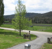 Glenmore Springs Accommodation - South Australia Travel