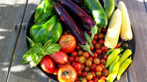 Griffins Hill Retreat - South Australia Travel 1