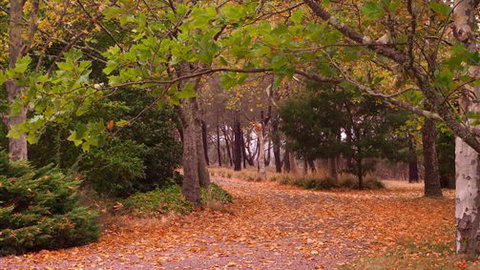 Griffins Hill Retreat - South Australia Travel 5