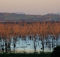 Salisbury - South Australia Travel