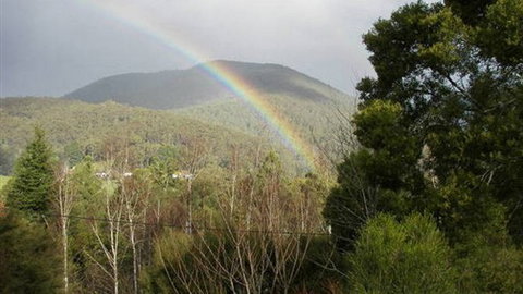 Wattletree Cottage - South Australia Travel 0