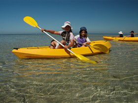 Ceduna Shelly Beach Caravan Park And Beachfront Villas - South Australia Travel 3