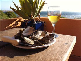 Ceduna Shelly Beach Caravan Park And Beachfront Villas - South Australia Travel 4