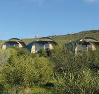 Saunders Gorge Sanctuary - Nature Lodges - South Australia Travel