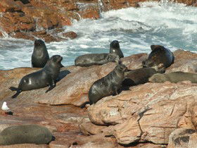 Foul Bay SA South Australia Travel