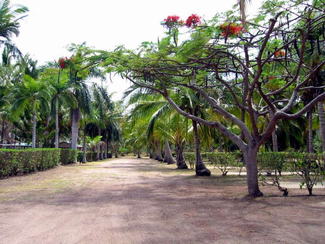 Alva QLD South Australia Travel